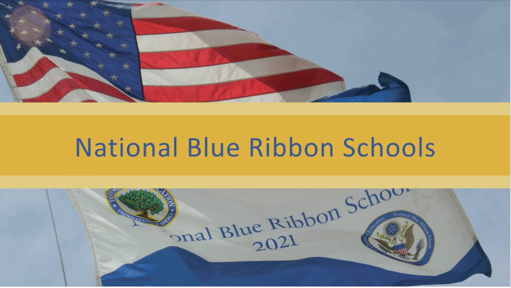 Watch Navarro Elementary School receive the 2021 National Blue Ribbon Award
