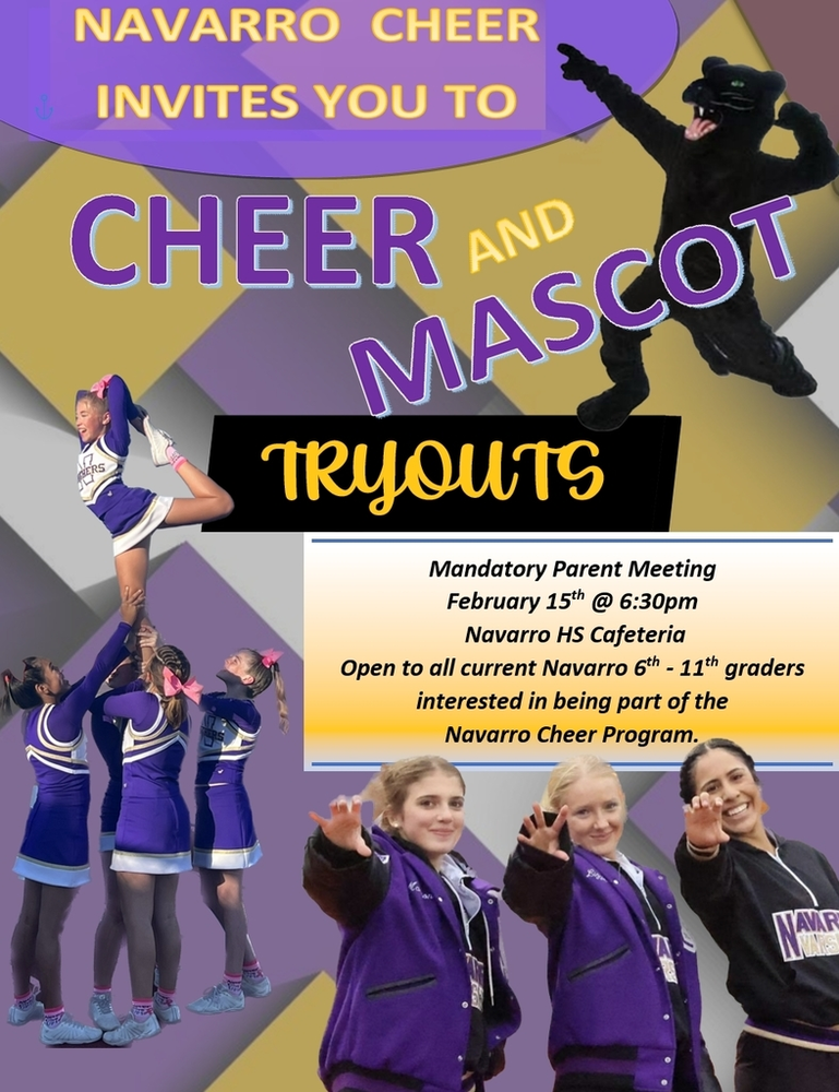 Navarro Cheer